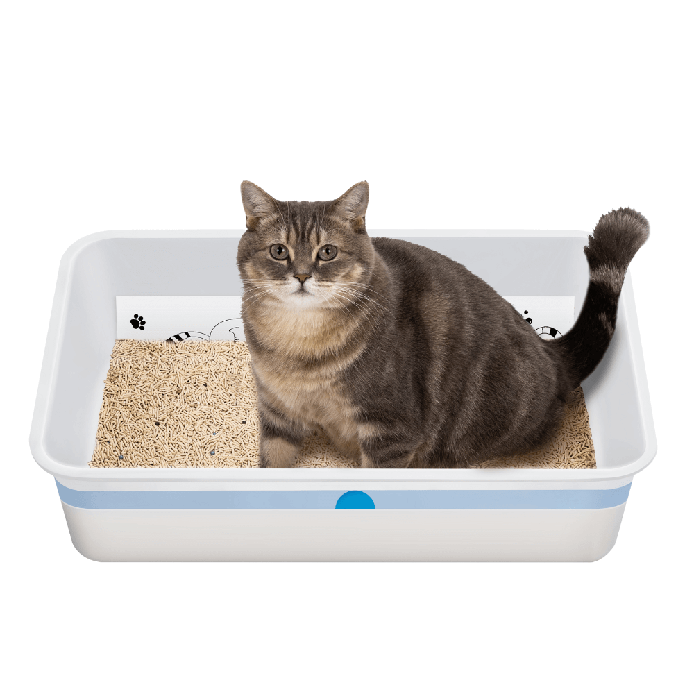 XL Litter Box Liners with Cardboard