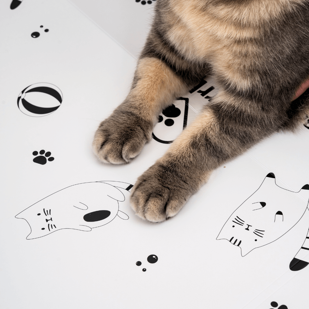 XL Litter Box Liners with Cardboard