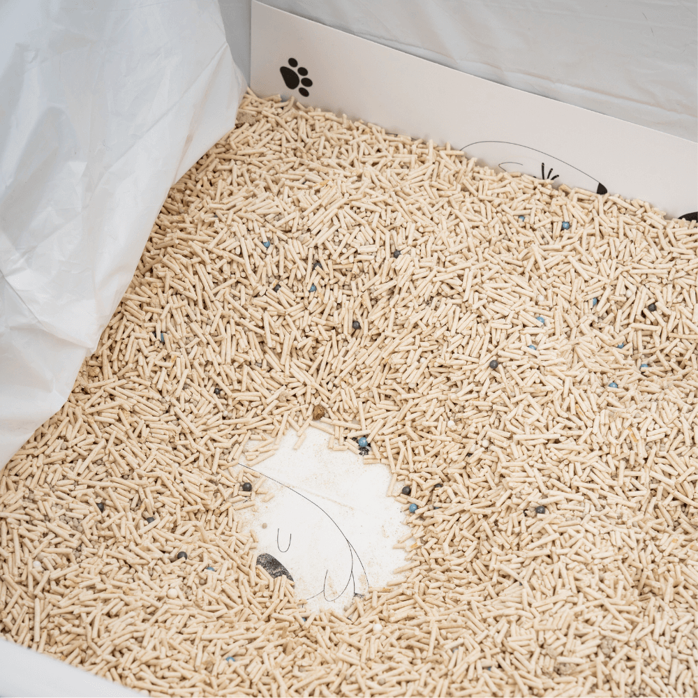XL Litter Box Liners with Cardboard