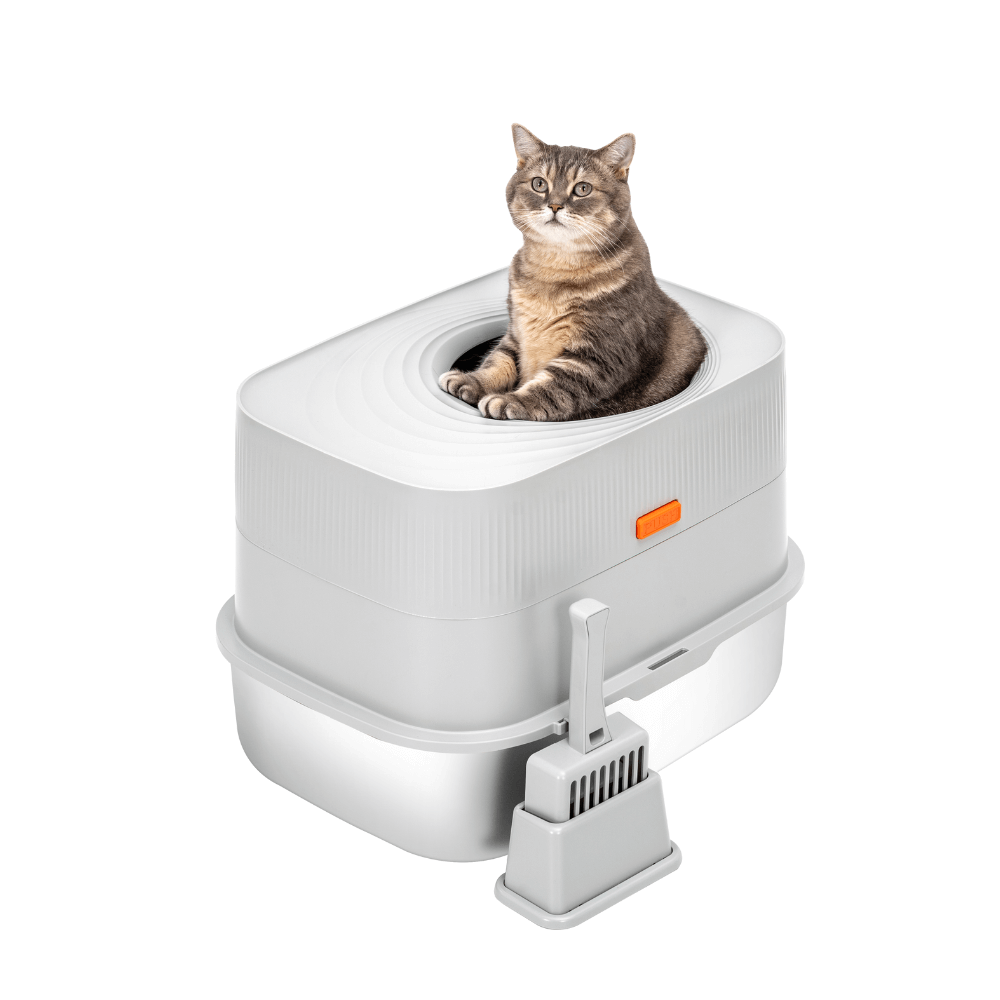 XL Full Enclosed Stainless Steel Sifting Litter Box for Regular Clumping Litter