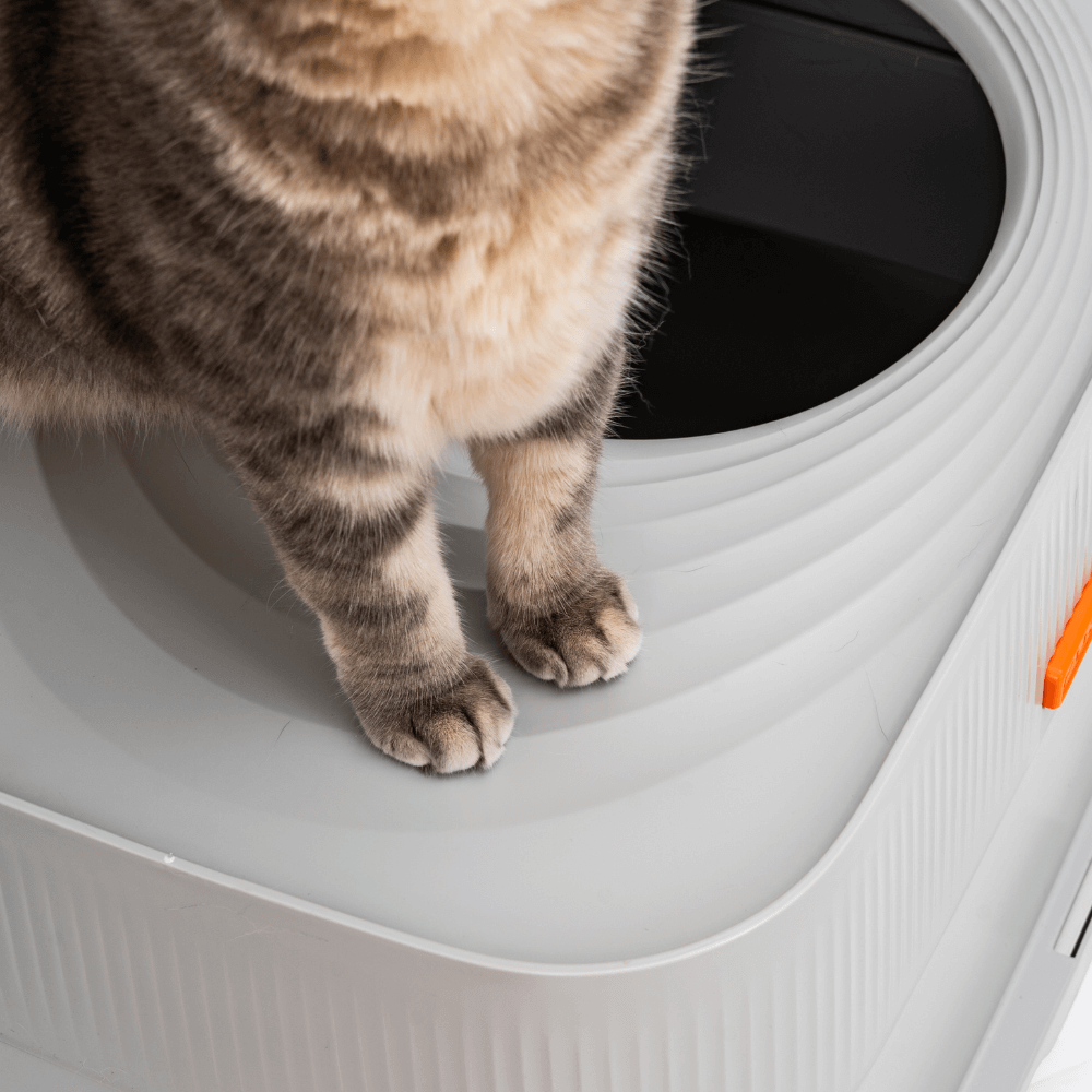 XL Full Enclosed Stainless Steel Sifting Litter Box for Regular Clumping Litter