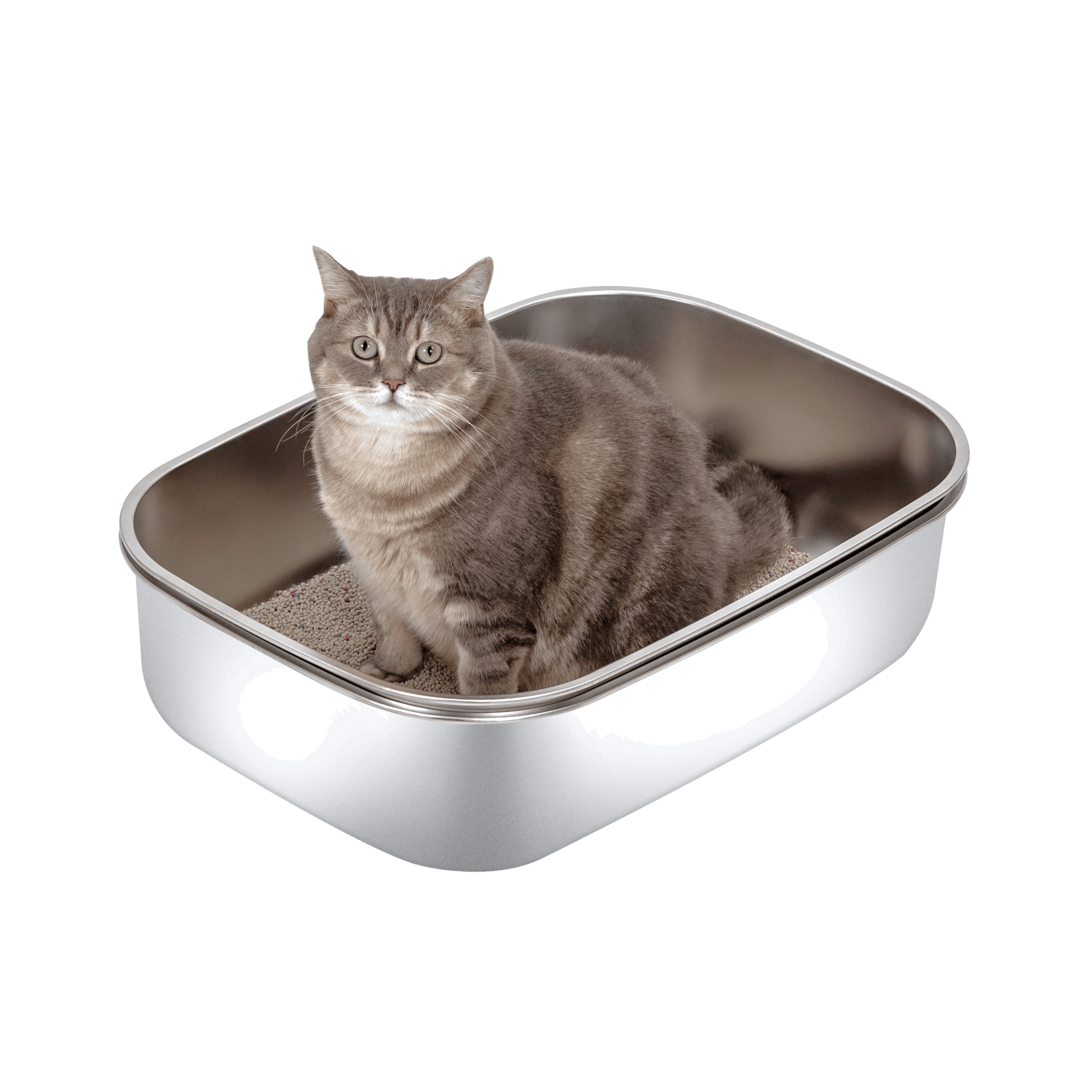 XL Stainless Steel Sifting Litter Box for Regular Clumping Litter (Triple Pans)
