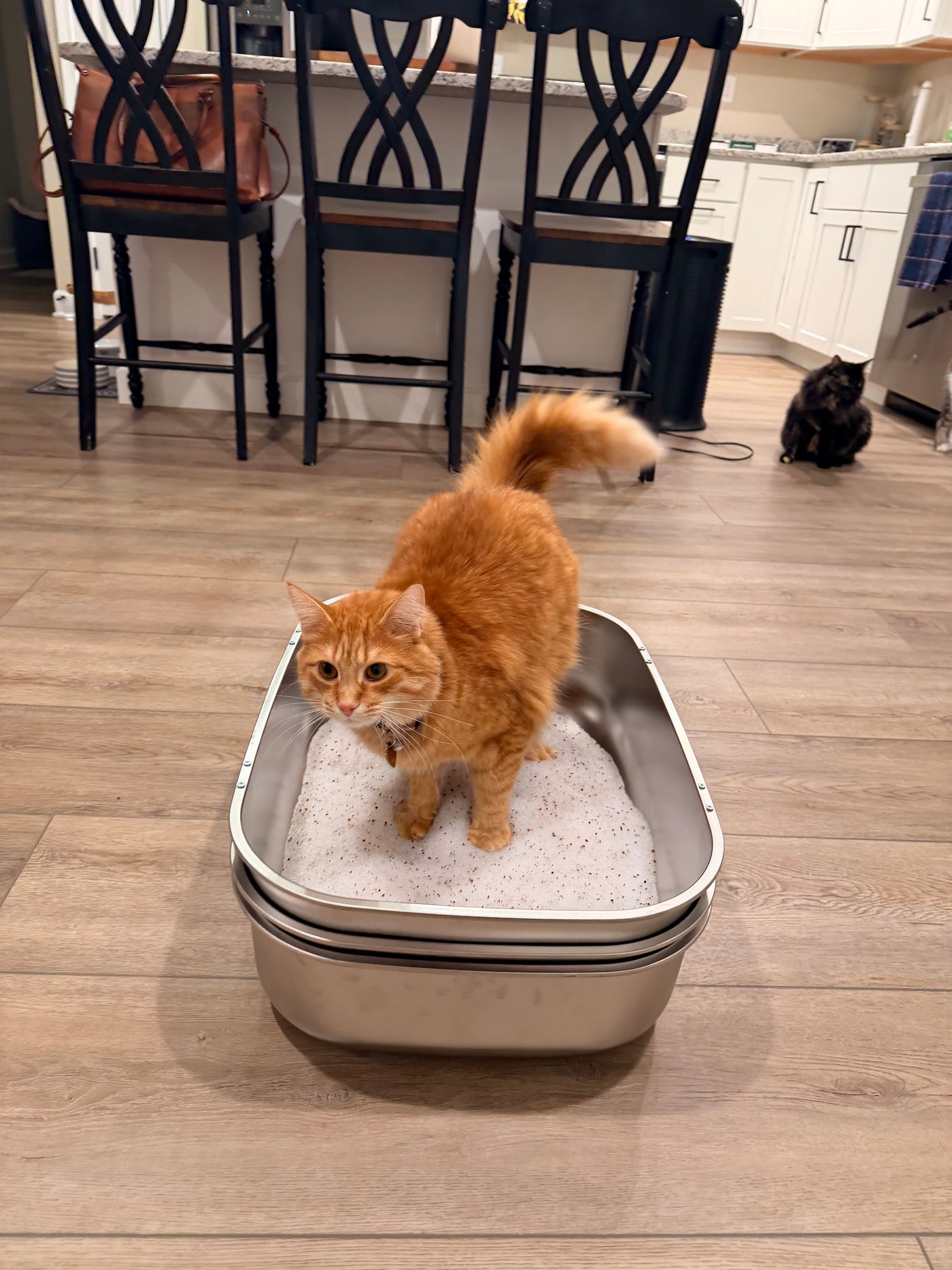 Furrbby Home Gallery