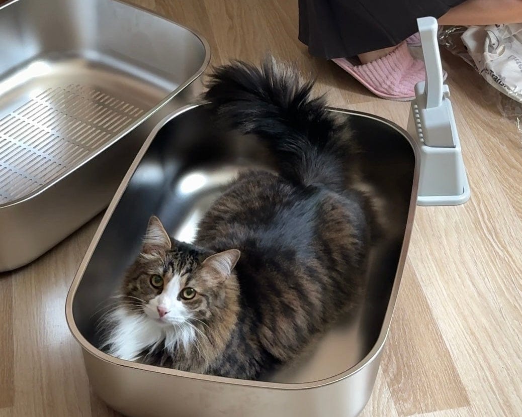 Who Loves Furrbby