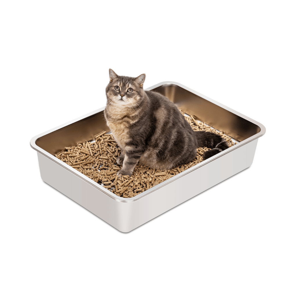 XXL Stainless Steel Sifting Litter Box for Pine Pellet